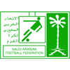 Piala Pemuda Arab Saudi