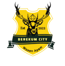 BerekumCity