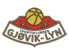 Gjovik Lyn