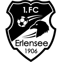 https://img.njccsm.com/img/football/team/a23904e7205f9324e45c7fef24a620fd.png